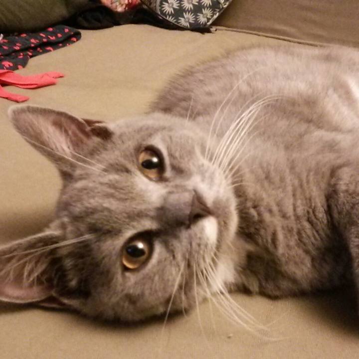 Dadc57f5 6683 4acb bb29 e20c89b5fe27 1534669098159