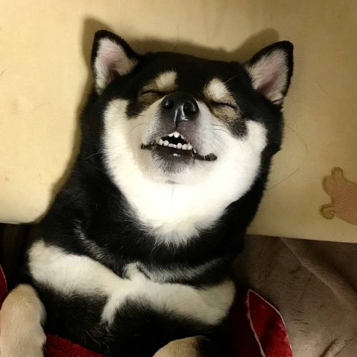 Dadc626c 7d09 4ce9 89e8 0fd6013a124e 1523457911174