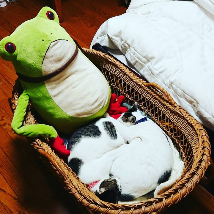 Dadc6d4e 1c5f 4fdb a090 bdccd1f309ae 1509862592003