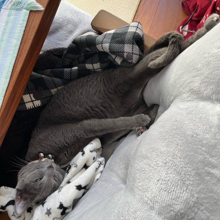 Dadc7671 f6dd 45c3 8118 b4a5de5c6964 1700131962324