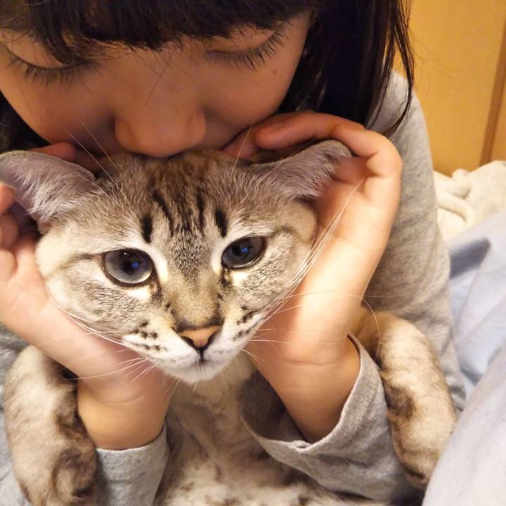 Dadc7725 800a 4982 a0ec 2e50fb4a972f 1545750541216