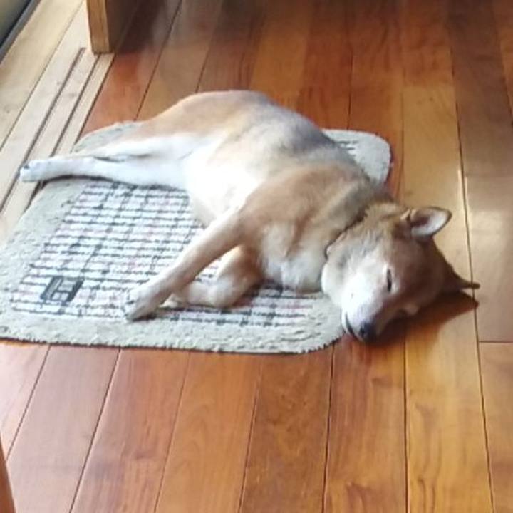 Dadc925c a13e 4554 a51a ef6f8a8d7c6c 1629438770722