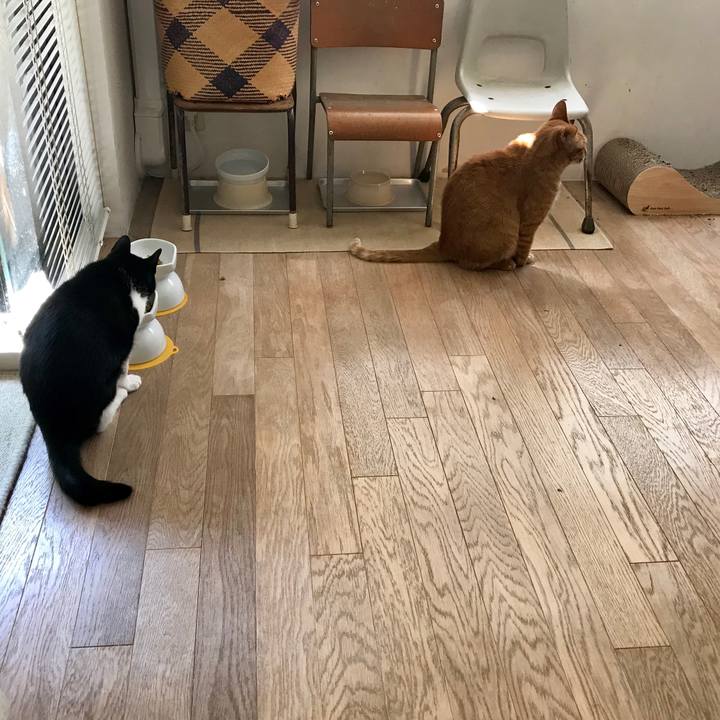 Dadc9f8a 7002 4e64 926d 0d747d7b7613 1554260977869