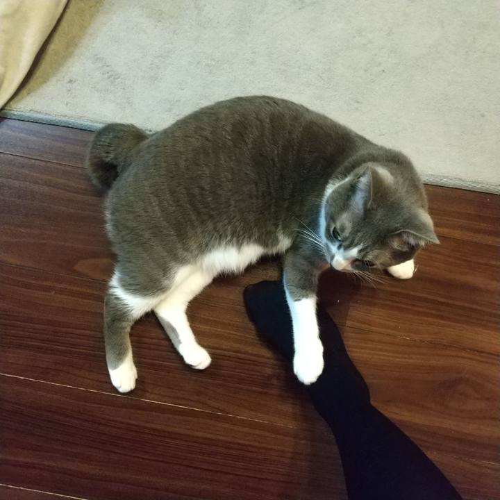 Dadca881 9c0e 4486 ae2b 82636a4150eb 1638831532858