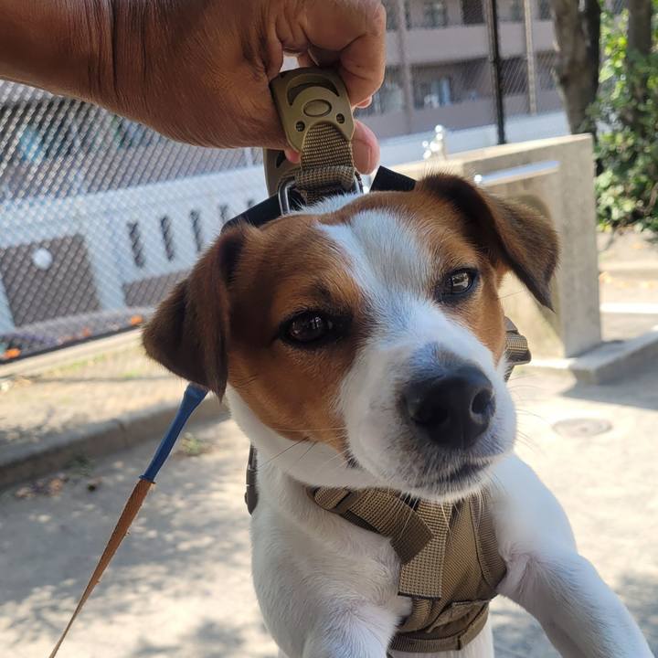 Dadcab22 d288 4cf8 bd66 b05c2185bd9a 1657551426357