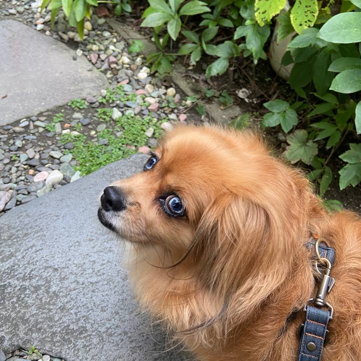 Dadcac5b 417f 4539 9b56 ec9e4790f497 1631050490665