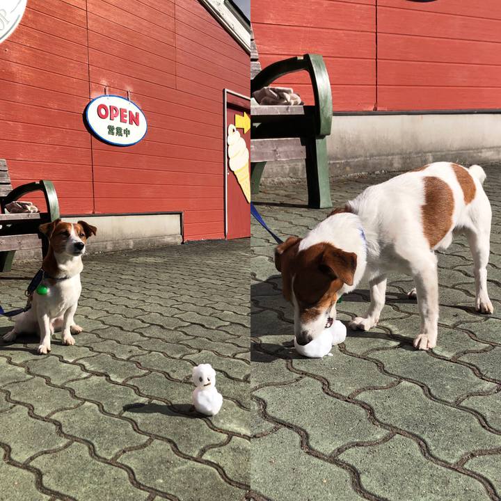 Dadcdd65 b9a8 449b 87e8 a51665415da7 1546668054505