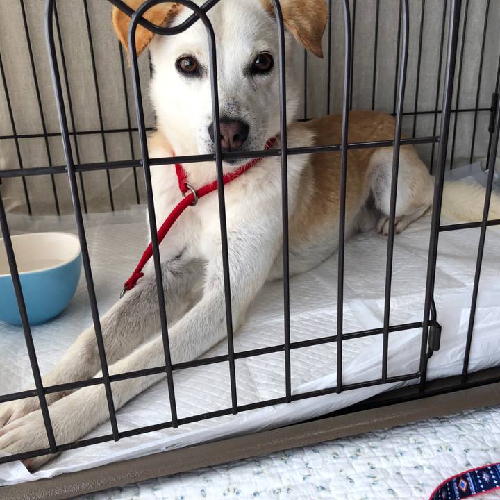 Dadcf677 5537 4735 b9e6 4b519814a282 1623316898404