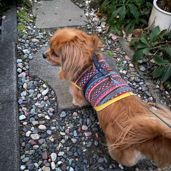 Dadd06b8 3324 4fa4 834a a9f65db768bf 1611784422960