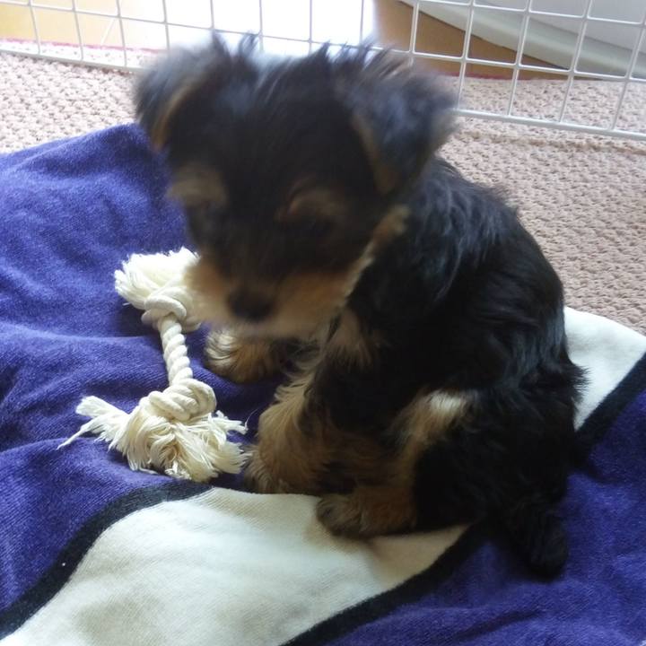 Dadd0ec2 28c4 4fe6 aa74 f962d911afaf 1619171204803