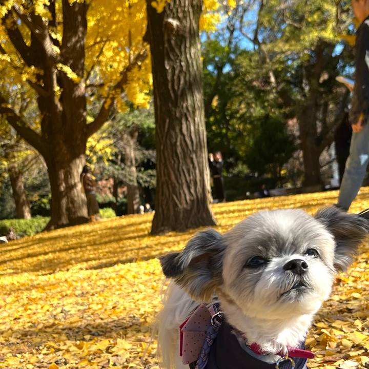 Dadd1d88 f4dc 4788 90ca 22b6c8a63c0b 1733479681561