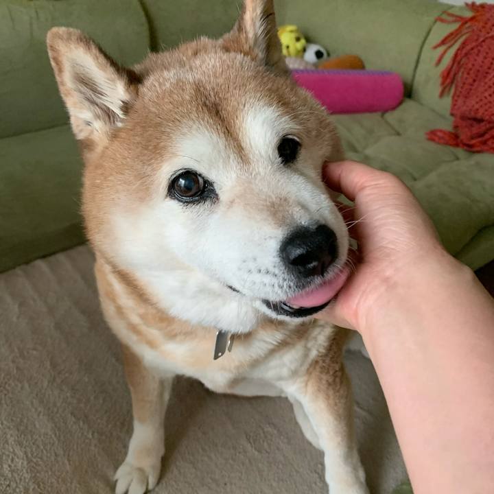 Dadd319a 041b 4baf a6ff dfc5230d3d55 1592399008716