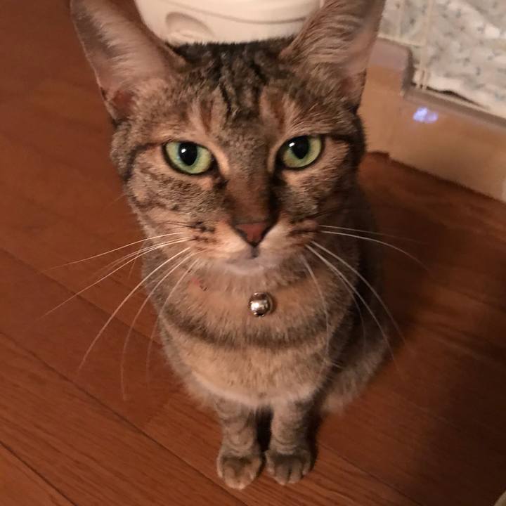 Dadd3f26 b9aa 4bfd 9aff 4a9adae869cc 1595500969547