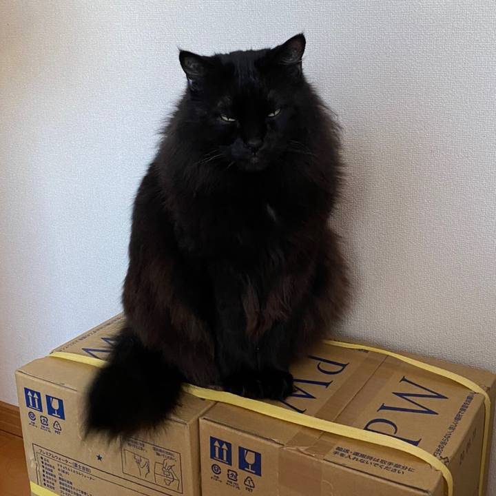 Dadd6e99 907f 44b9 8530 efbb6b3aabbb 1580020407349