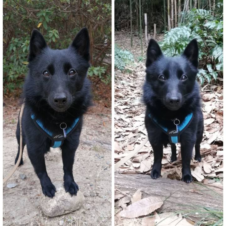 Dadd71a2 b032 4e1b 886a 6dd0b9115a55 1644711968864