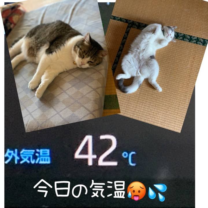 Daddf56b a04c 4203 8bd8 cb2506f8e064 1656655240910