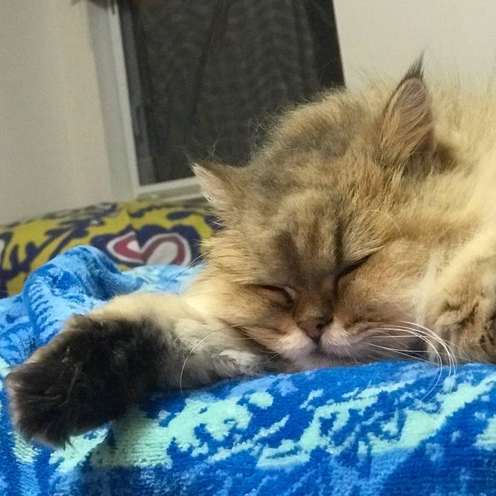 Dade0898 34fa 4e4f ae45 eaa858ca92e7 1535098116966