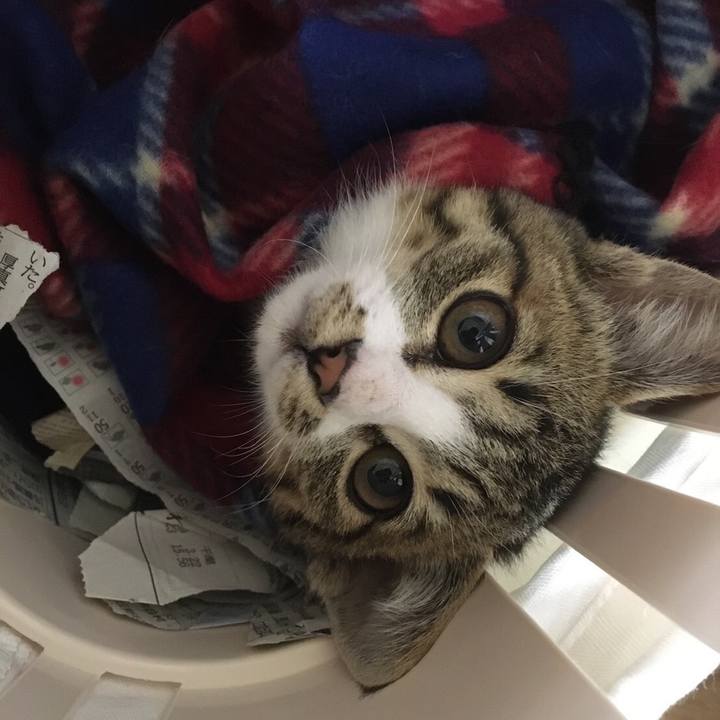 Dade1864 f591 4305 ba3c d01d299695d1 1638962053799