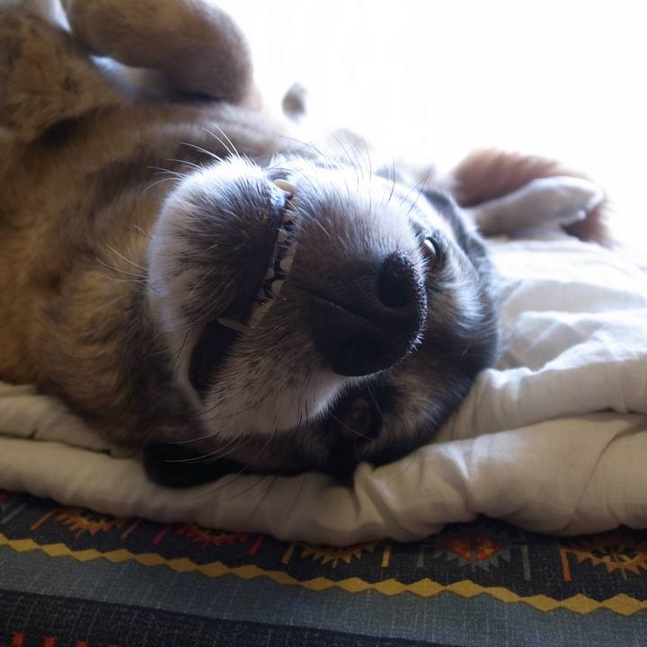 Dade2eba 186f 4dc5 9d63 36e3f6b64707 1601165047432