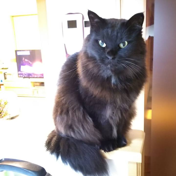 Dade896a d46d 4ed5 95ab 123af294ce0d 1551174715008