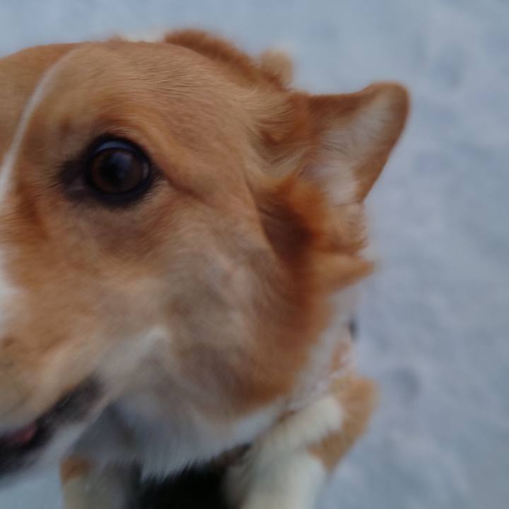 Dade9a19 0a6a 43e8 a14b d5eace8c07a4 1770853768801