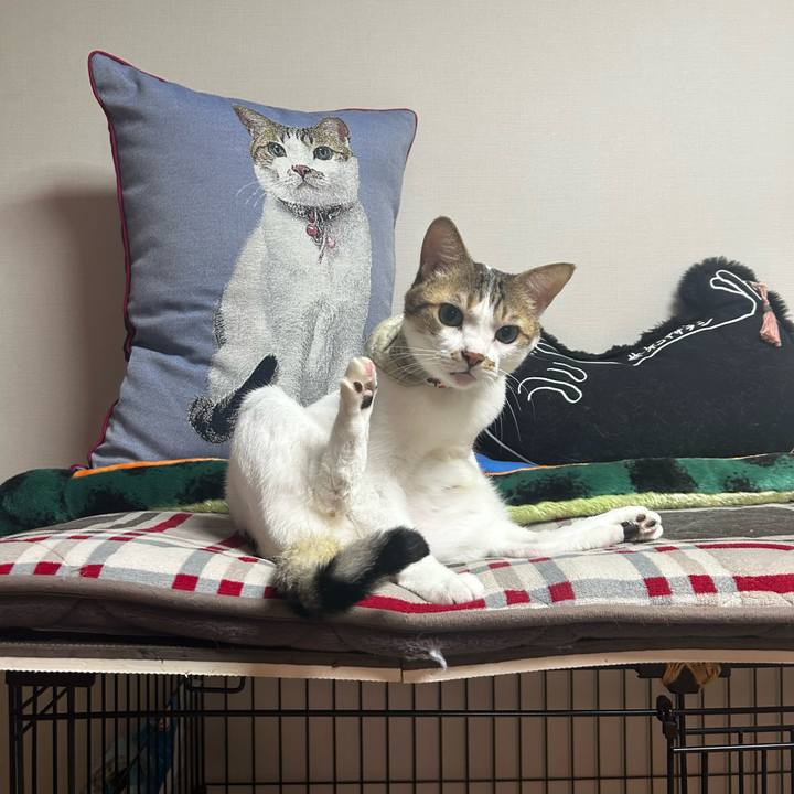 Dadeb76d 27fb 4c4f 8a65 30080e4027bd 1761085961656