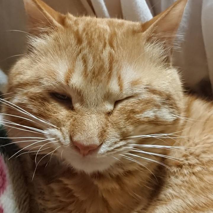 Dadec058 40e1 4efc 85d9 de9d94b023f7 1645187927380