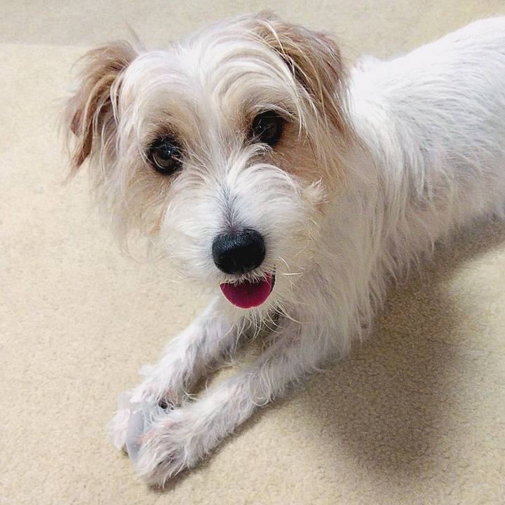 Dadf1ad3 ae76 4d1d bf0d 1adab50674de 1563107431233