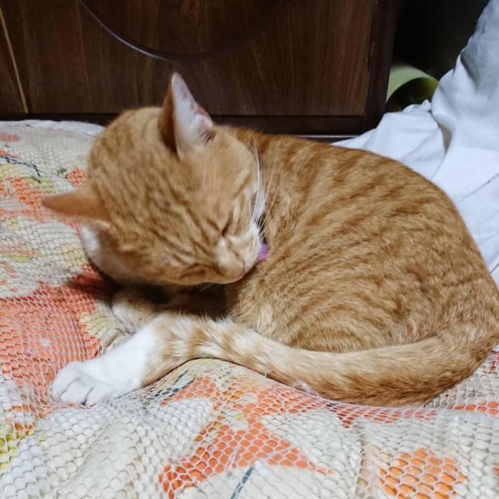 Dadf2170 9c82 44ba a865 c24bcb1f6c08 1574597332060