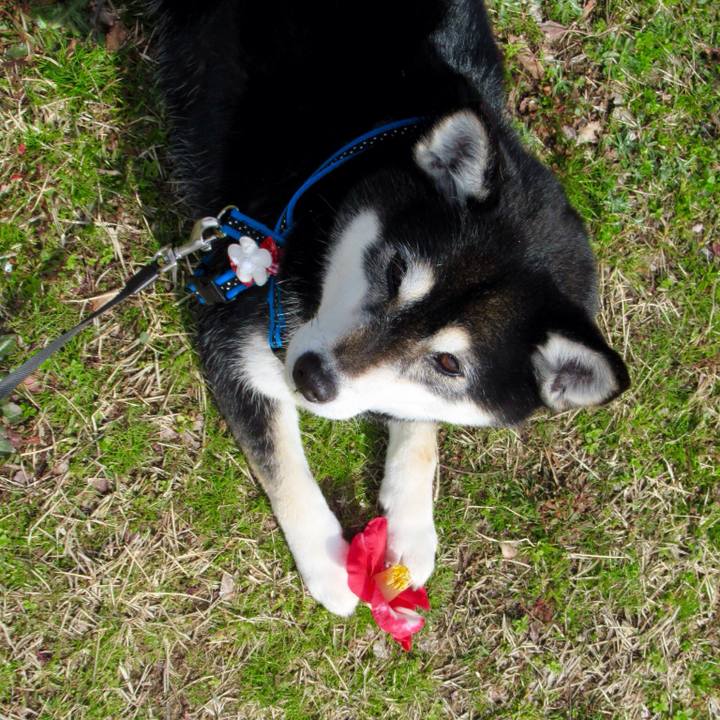 Dadf5aad 6e35 4ceb be11 0d6d4076d8f1 1585542251544