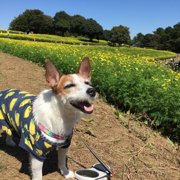 Dadf850e c382 471b af55 376bed28f972 1632266794772