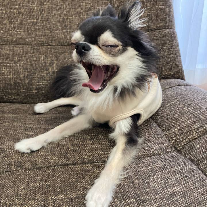 Dadf9ab1 1aa6 4948 809d 2a29b6b0f9dc 1702743936497