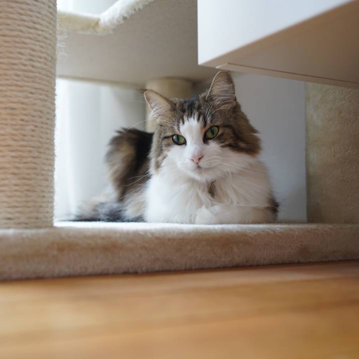 Dadfa1c8 20ea 4af3 8160 3f44c2120a5e 1597791621556