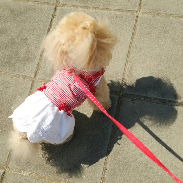 Dadfeabd a4be 47b2 ac36 3f7b9bef794b 1522225988617