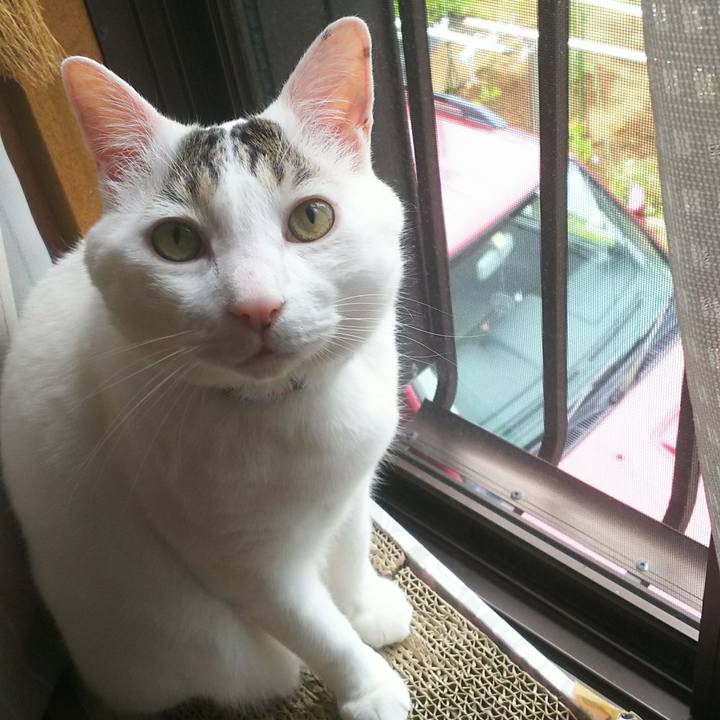 Dadff842 e379 4a36 8fb0 bc2fb732e2b8 1527647173851