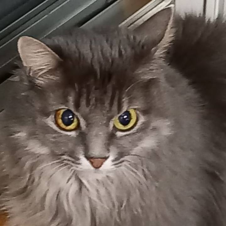 Dae00cb9 8c7c 47fe 9981 df06a1f6fe69 1607757942570