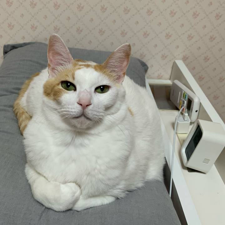 Dae0288b ded7 44e5 8692 c3ecf7d86232 1639480811477