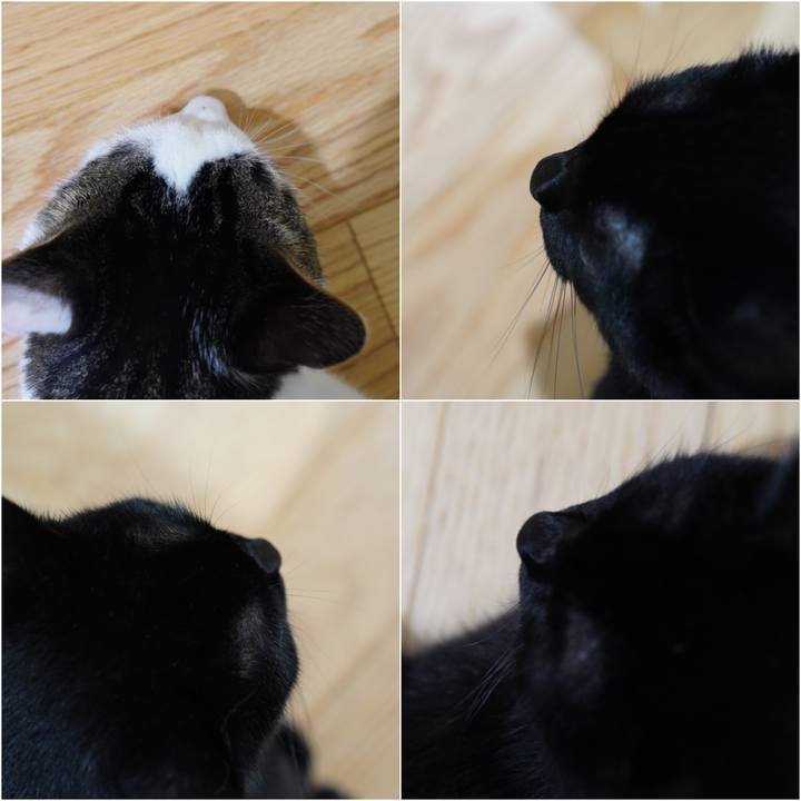 Dae0362f 755a 4c4f a5f5 ec5fd1e81331 1567121280720