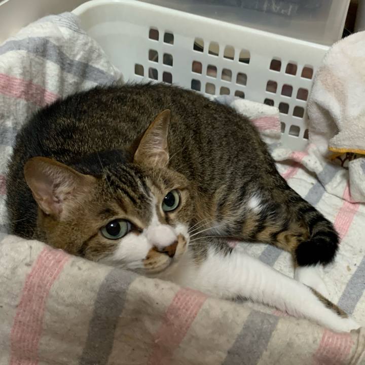 Dae08d92 163a 489b bc4f cfe76acdf0ee 1624740619904