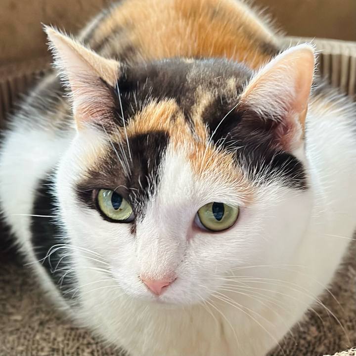 Dae092d6 39d0 4434 be57 27a426f2ff29 1674872478149