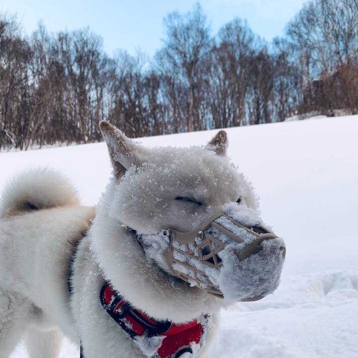 Dae0d1f4 f3f9 4d1d 9376 51e4a3c6ef1b 1612787194035