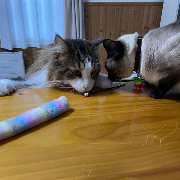 Dae0d9e0 7b2b 4e63 8bd6 5fe57413be78 1742939484338