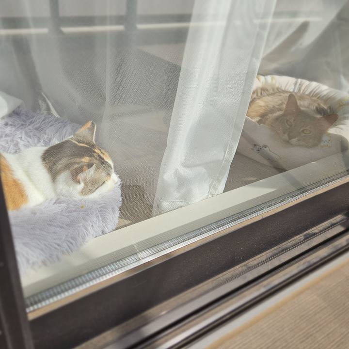 Dae11bf6 4d0a 48e9 b590 cc1716740472 1774663873480