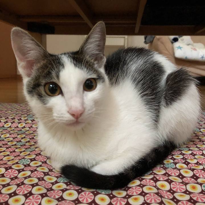 Dae161ca ff84 4da0 a4d4 390983471517 1570571739177