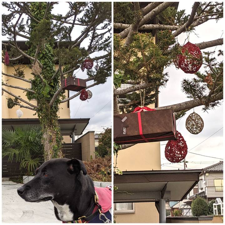 Dae185ba 86d5 4a86 93f5 62678339ef72 1702725816437