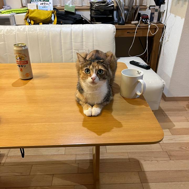 Dae19c8f cd6c 4e42 9b29 0972cebf16a8 1719816546014