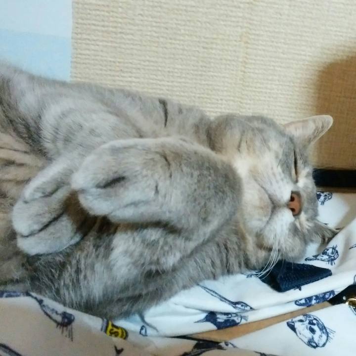 Dae1ae68 892a 4e43 9a69 7ea8f7181fb9 1559488333483