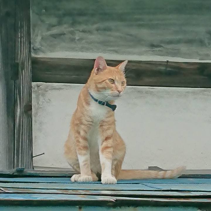 Dae1b679 805c 4c9f a0ae af3bda5ef289 1564179827573