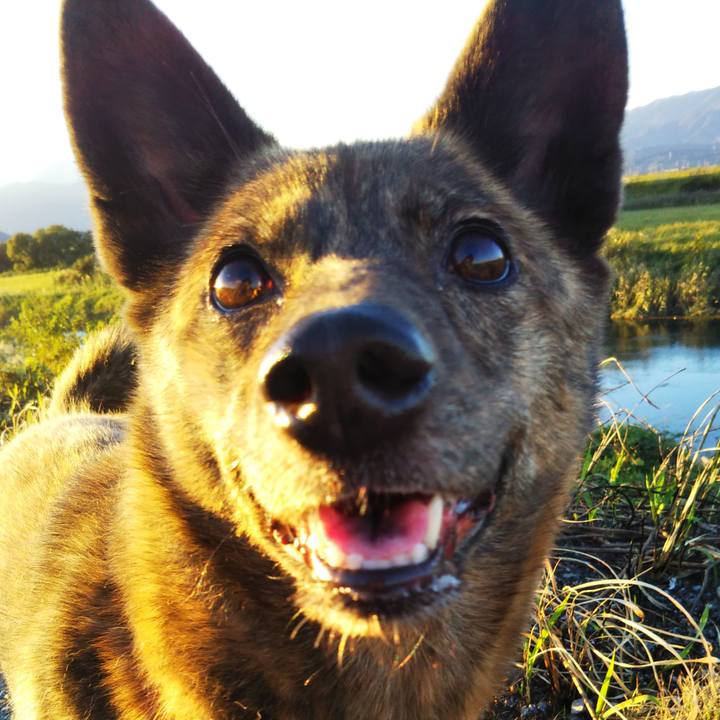 Dae1c961 ce02 4062 a977 f0791c118add 1618395815431