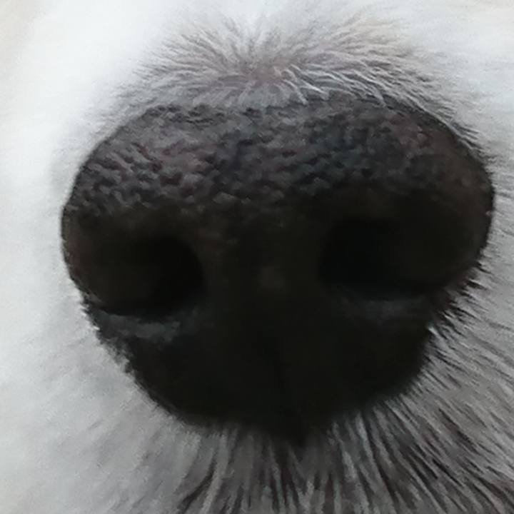 Dae1cddf 1654 45e7 9188 af02924dcd01 1524434144596